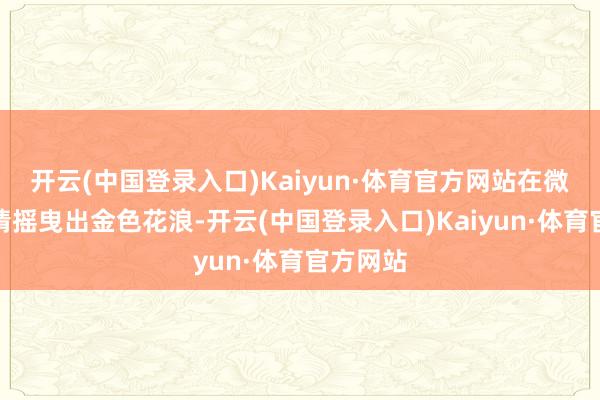 开云(中国登录入口)Kaiyun·体育官方网站在微风下尽情摇曳出金色花浪-开云(中国登录入口)Kaiyun·体育官方网站