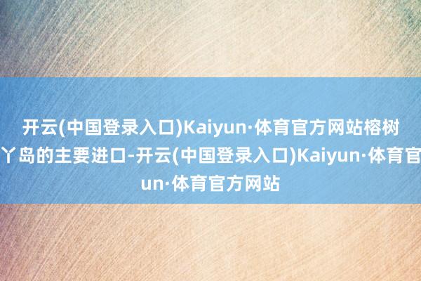 开云(中国登录入口)Kaiyun·体育官方网站榕树湾是南丫岛的主要进口-开云(中国登录入口)Kaiyun·体育官方网站