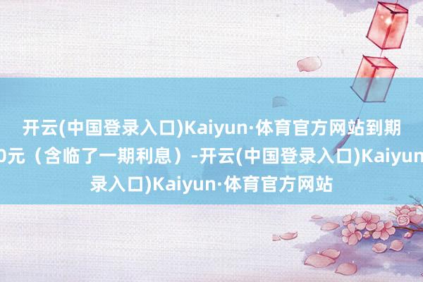 开云(中国登录入口)Kaiyun·体育官方网站到期赎回价钱为110元（含临了一期利息）-开云(中国登录入口)Kaiyun·体育官方网站