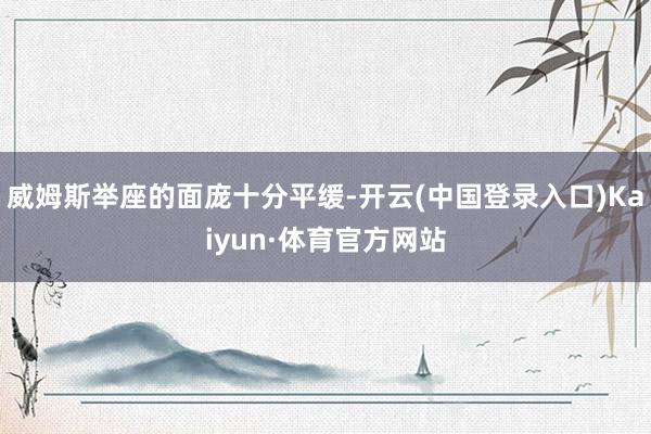 威姆斯举座的面庞十分平缓-开云(中国登录入口)Kaiyun·体育官方网站