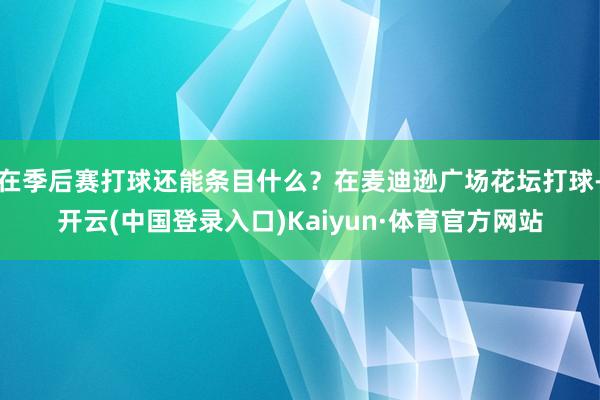 在季后赛打球还能条目什么？在麦迪逊广场花坛打球-开云(中国登录入口)Kaiyun·体育官方网站