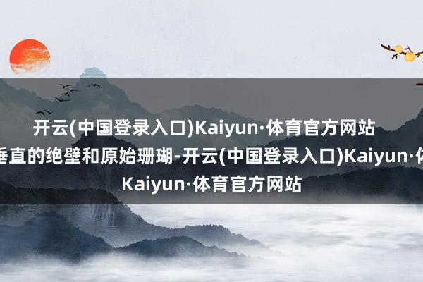 开云(中国登录入口)Kaiyun·体育官方网站   马拉图岛有垂直的绝壁和原始珊瑚-开云(中国登录入口)Kaiyun·体育官方网站