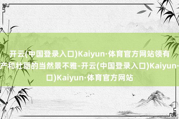 开云(中国登录入口)Kaiyun·体育官方网站领有丰富的历史遗产和壮丽的当然景不雅-开云(中国登录入口)Kaiyun·体育官方网站