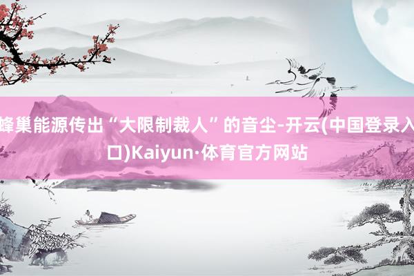 蜂巢能源传出“大限制裁人”的音尘-开云(中国登录入口)Kaiyun·体育官方网站