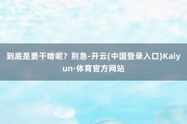 到底是要干啥呢？别急-开云(中国登录入口)Kaiyun·体育官方网站