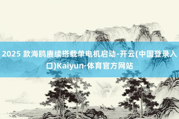 2025 款海鸥赓续搭载单电机启动-开云(中国登录入口)Kaiyun·体育官方网站