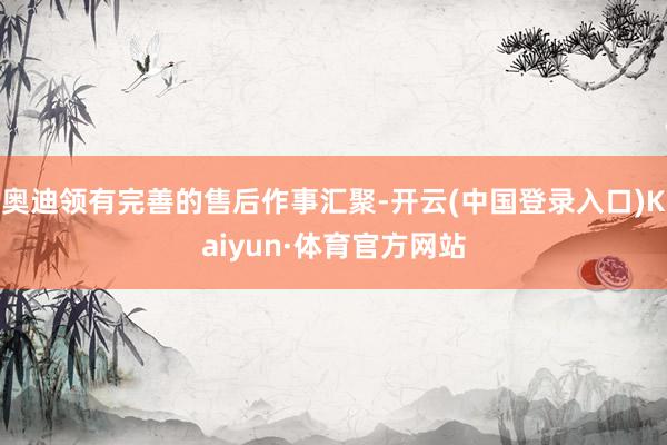 奥迪领有完善的售后作事汇聚-开云(中国登录入口)Kaiyun·体育官方网站