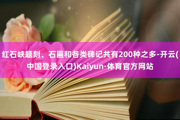 红石峡题刻、石匾和各类碑记共有200种之多-开云(中国登录入口)Kaiyun·体育官方网站